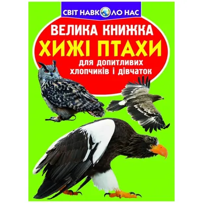 Шуліка чорний (Milvus migrans)