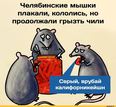 Сибирская мышь: автоматон из золота и жемчуга | История моды с Марьяной С.  | Дзен