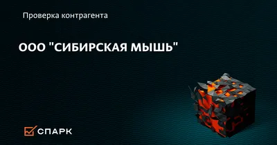 1-я сибирская мышь t.me / смешные картинки и другие приколы: комиксы, гиф  анимация, видео, лучший интеллектуальный юмор.