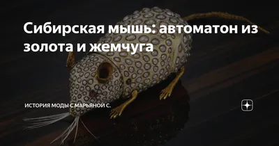 Сибирская кошка Игрушка для кошек, мышь плюшевая, 2 шт - купить с доставкой  по выгодным ценам в интернет-магазине OZON (1233166616)