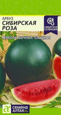 Акция! Розы Красные 101 шт. в Усолье-Сибирском - Купить с доставкой по цене  16 890 руб. | Акция! Розы Красные 101 шт. в интернет-магазине Ultra Flowers