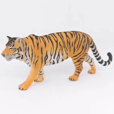 Чем отличаются Сибирский тигр от Бенгальского тигра? | В мире животных |  Дзен
