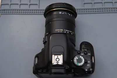 Tamron SP AF 17-50 f/2.8 IF для Nikon - «Отличный и доступный объектив. Примеры  фото в различных условиях съемки» | отзывы