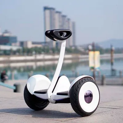 Segway - Mini-Robot 36 V, app-приложение X-Bot. Руль для коленей,  обслуживание в Самаре - Segwei.ru