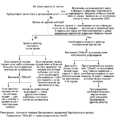 Блистер, достигнутый кипятком на молодой руке Womanlsquo S на изолированном  белом ожоге кожи на запястье Femalersquo. Стоковое Фото - изображение  насчитывающей ушиб, ацетона: 204645474