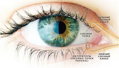 Синдром сухого глаза - симптомы, причины, диагностика и лечение