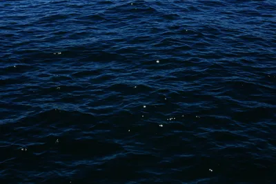 Почему море синее, если вода - прозрачная?
