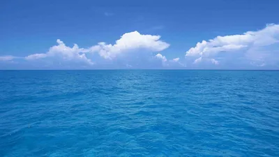 Почему море синее, если вода - прозрачная?