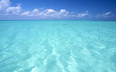 Глубокое синее море смотреть онлайн, 2011