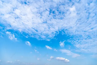 Foto Stock Синее небо с облаками и солнцем, холмистая зеленая местность с  деревьями | Adobe Stock