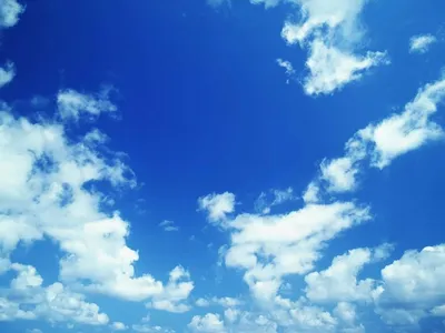 ᐉ AS Creation TEMPO хлопок синее небо купить в Украине недорого | Мир Обоев