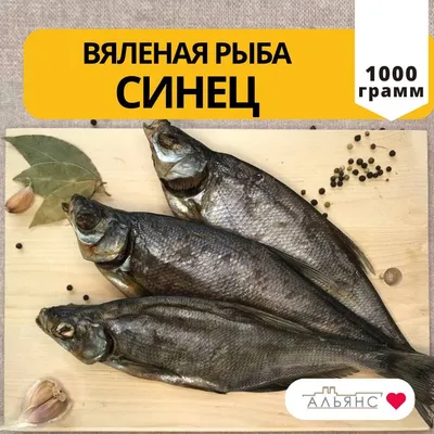 Синец FisheryAPP