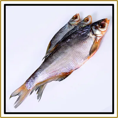 Рыба синец: описание, обитание, ловля | Рыбалка Лучший отдых | Дзен