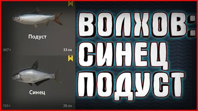 Купить синец Генеральская рыбка вяленый 200 г, цены на Мегамаркет |  Артикул: 100026674176