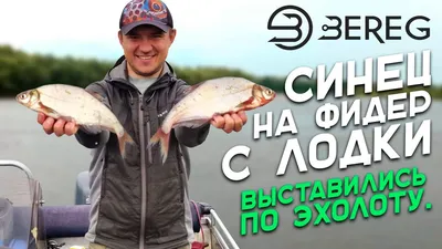 Синец (Abramis ballerus) | FishingBY.com