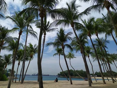 Остров Сентоза (Sentosa Island) – Уникальный Сингапур