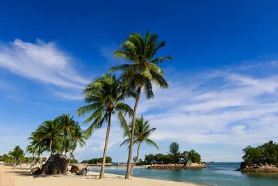 Tanjong Beach, Остров Сентоза: лучшие советы перед посещением - Tripadvisor