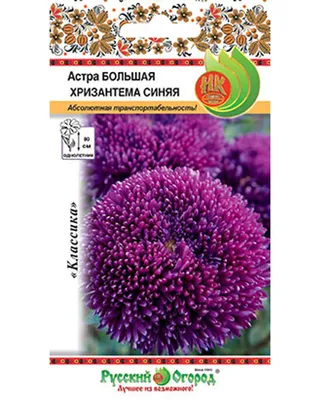 Букет из 11 синих кустовых хризантем купить недорого с доставкой в  Челябинске