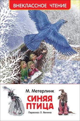 Гостевой дом \"Синяя Птица\", г. Суздаль - официальный сайт