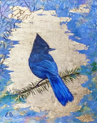 Синяя птица счастья :: Вадим Кулаев – Социальная сеть ФотоКто
