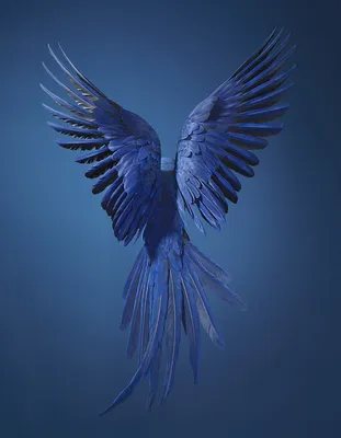 Картина Синяя птица счастья - Другое - Букурос Екатерина (живопись)