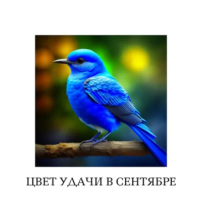 Синяя Птица Счастья, Malerei von Elizaveta Vershinina | Artmajeur