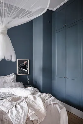 Синяя спальня хозяев стоковое фото. изображение насчитывающей шерсть -  98798260