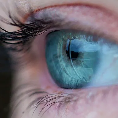 Глаза разных цветов и их названия: какой цвет глаз самый популярный? |  ZENFashion: об индустриях красоты и моды | Дзен