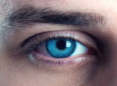 blue eyes | Глаза, Голубые глаза, Эстетика