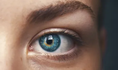 Почему у рыжих людей глаза зеленые, а у блондинов голубые – от чего это  зависит?