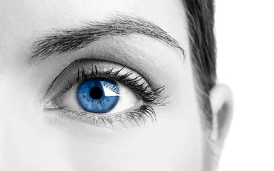 Синие глаза | Пикабу