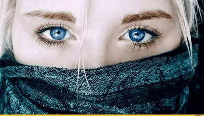 Ох, эти серо-голубые глаза @suzen_sskd... - Лорина Lashmaker | Facebook
