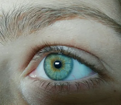 Наращивание ресниц. Голубые глаза. Глаза девушки | Цвет глаз, Голубые глаза,  Ресницы