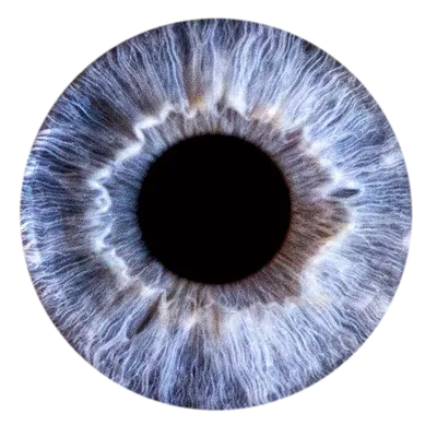 Макро Человеческие Голубые Глаза — стоковые фотографии и другие картинки  Голубые глаза - Голубые глаза, Радужная оболочка, Глаз - iStock