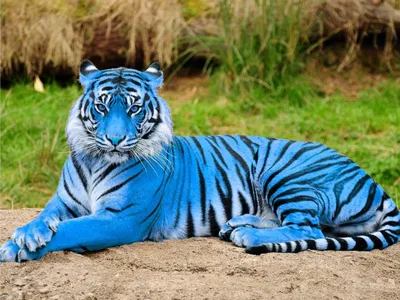 Гигантский сюрреалистический синий тигр…» — создано в Шедевруме
