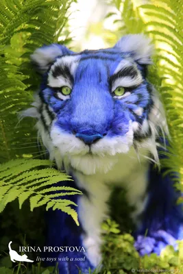 Синий тигр - красивые фото