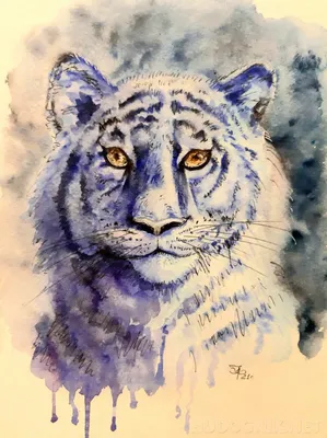 Постер Синий тигр ❤ — купить по выгодной цене на «Все Футболки.Ру» | Принт  — 1526705 в Санкт-Петербурге
