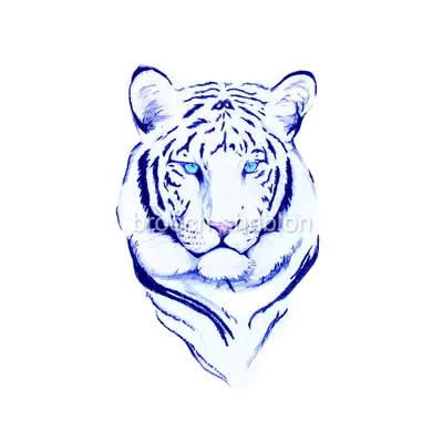 портретный синий тигр в розовых костлявых цветках в водоизоляции на белом  фоне является символом 2022. Иллюстрация штока - иллюстрации насчитывающей  шарж, мило: 233785950
