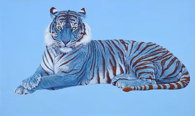 Мальтийский голубой тигр | Cat's Paws | Дзен