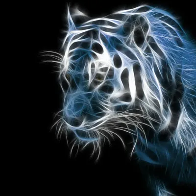 Живопись по номерам, 40 x 60, \"Синий тигр. Флуоресцентные краски\" - купить  с доставкой по выгодным ценам в интернет-магазине OZON (376138899)