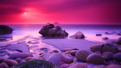 Фотообои Сиреневый закат на пляже артикул Se-051 купить в Оренбург|;|9 |  интернет-магазин ArtFresco