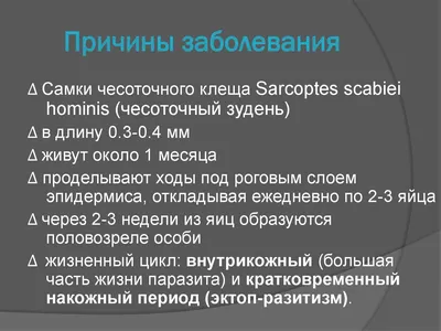 Соколова Чесотка. Часть 2 Украинский журнал