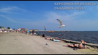 Дивный пляж Скадовска уже принимает первых посетителей - Лента новостей  Херсона