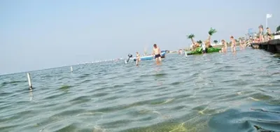 скадовск украина 08 июня 2021 : очистка пляжа от водорослей с помощью  экскаватора Редакционное Изображение - изображение насчитывающей  муниципально, океан: 223285005