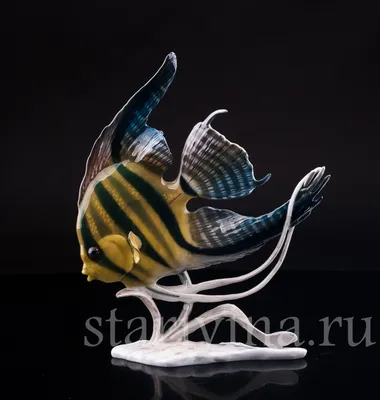 Купить фарфоровую статуэтку Аквариумная рыбка Скалярия, Rosenthal,  Германия, 1970 гг по низким ценам - Старивина