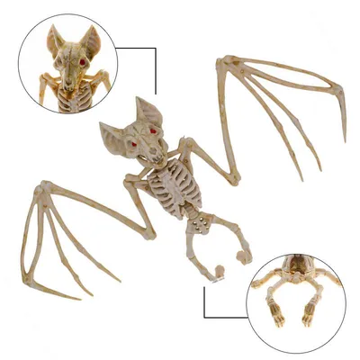 Хэллоуин Ужасы Летучие Мыши Скелет Мыши Скорпион Ящерица Бонез Модель –  acacuss