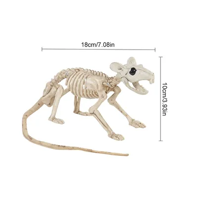 Купить PDTO Хэллоуин животное летучая мышь скелет сумасшедшая кость Posable  вечерние реквизит дом с привидениями декор | Joom