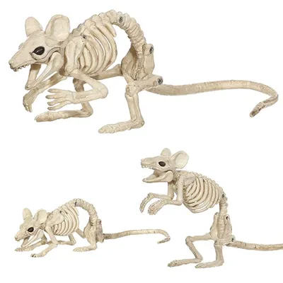 Жуткий скелет крыса Мышь мыши костей скелета для ужасов Хэллоуин вечерние  бар домашнего декора аксессуары украшения | AliExpress