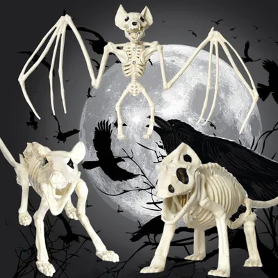 Скелет Летучей Мыши — стоковая векторная графика и другие изображения на  тему Скелет животного - Скелет животного, Летучая мышь - животное, Крыло  животного - iStock