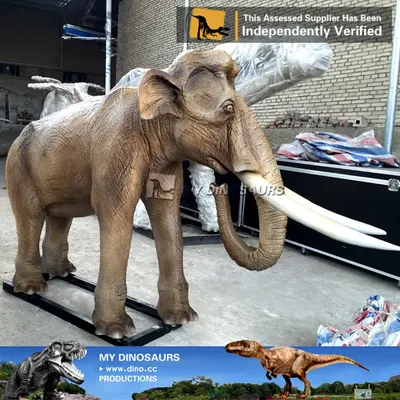ИЕНиМ УрФУ - А вы знали, что у нас есть большой скелет слона на кафедре  зоологии?😍🐘 ⠀⠀⠀⠀⠀⠀ Photo by @roora_and #ИЕНиМ #ИЕНиМ_УрФУ #ienim_people |  Facebook